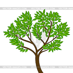 Tree - vector clipart