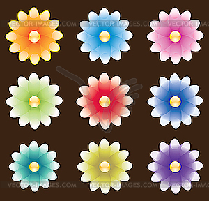 Flower dingbats - vector clip art