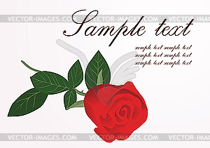 Red rose - vector image