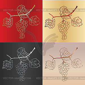 Grapes - vector image