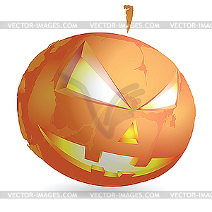 Pumpkin on white - vector image