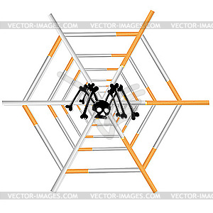 Spider and cigarettes - vector image