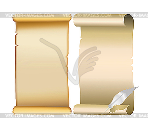 Old paper scrolls - vector clip art