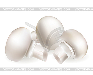 White mushroom - vector clipart