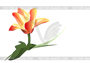 Red yellow flower - vector image