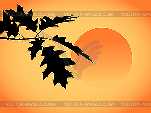 Autumn leaves - vector image