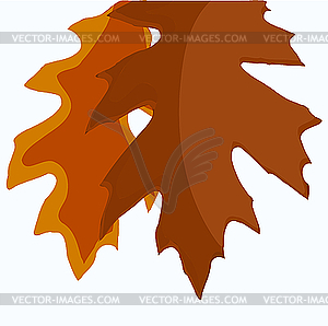 Autumn leaves - vector clipart