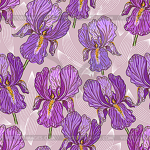 Purple Iris - vector clipart