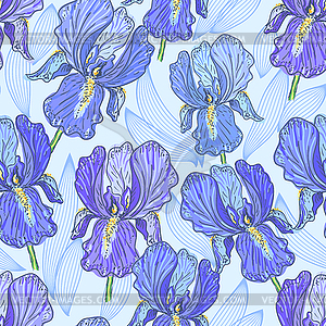 Purple Iris - vector clip art