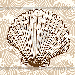 Sea shell - vector image