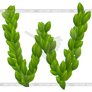 Letter W of green leaves alphabet - vector clip art