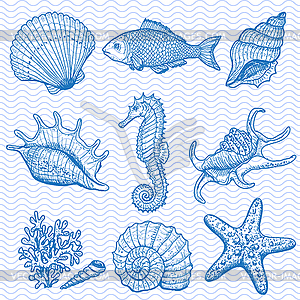 Sea collection - vector image