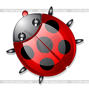 Ladybird - vector clipart