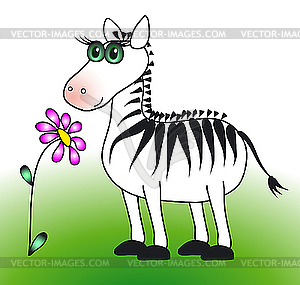 Zebra and flower - vector image