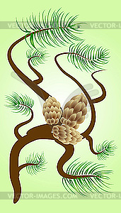 Pine branch - vector image