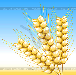 Wheat - vector clipart