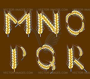 Wheat alphabet - vector image
