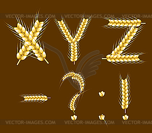 Wheat alphabet - vector clipart