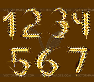 Wheat alphabet. Digits - vector clip art