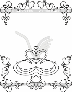 Pair of white swans - vector image