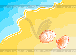 Seashell - color vector clipart