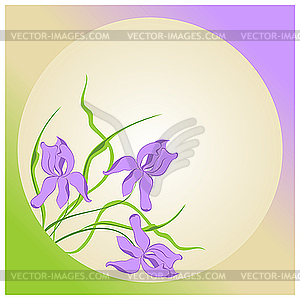 Цветы ирисы - векторное изображение EPS