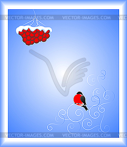 Bullfinch - vector clipart