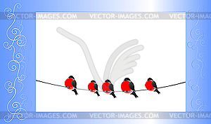 Bullfinch and winter pattern - vector image
