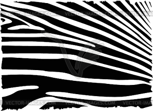 Zebra background - vector image