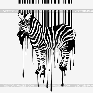 Zebra silhouette - vector image