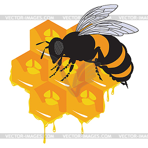 The bees and honeycomb with honey - vector image