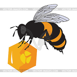 The bees and honeycomb with honey - vector image