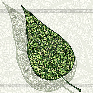 Vintage green leaf - vector image