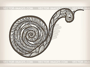 Monochrome ornamental snail - vector clipart