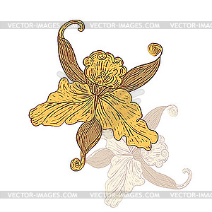 Vintage lily with its pale reflection - vector clipart