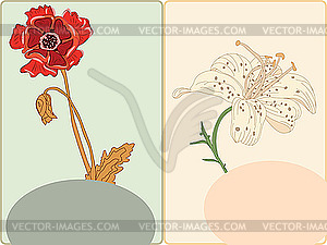 Cards with poppy and lily - stock vector clipart