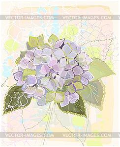 Greeting card with hydrangea bunch  - vector image