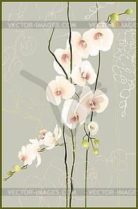Поздравительная открытка с орхидеями - графика в векторном формате