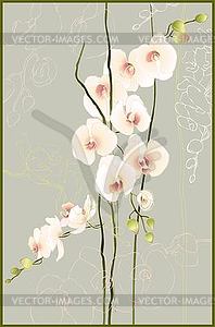 Greeting card with orchids - vector image