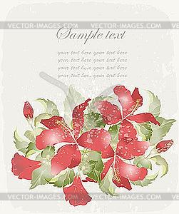 Greeting card with hibiscus - vector image