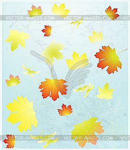 Greeting card with maple leaves - vector clipart