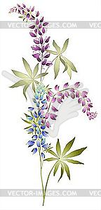 Greeting card with lupine - vector image