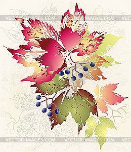 Autumnal card with wild grapes - vector clip art