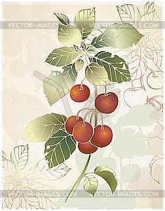 Greeting card with cherries - vector image