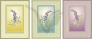 Greeting cardы with lupines - vector clipart