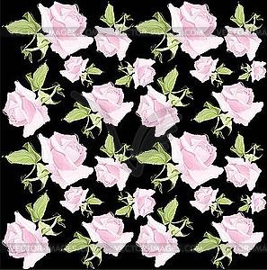 Floral background of roses - vector image