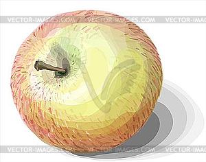 Apple - vector image