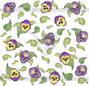 Background of pansy flowers - vector image