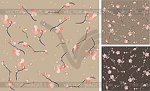 Backgrounds of cherry flowers - vector clipart