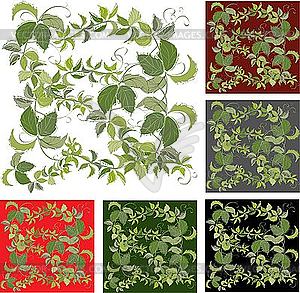 Backgrounds with leaves of wild grape - vector clip art